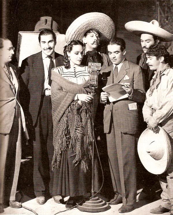 Promoção de Flor Silvestre