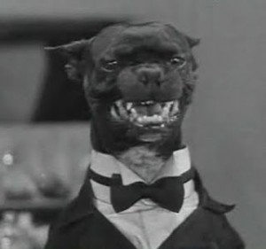 Cena de um filme da série Dippy Doo Dogs