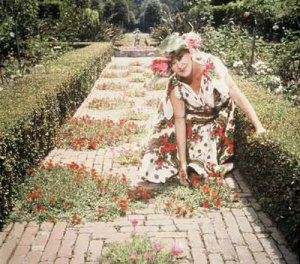 Ganna e seu jardim de plantas exóticas