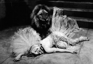 Cena de Macho e Fêmea