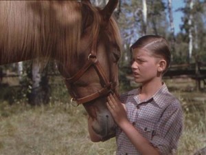 Roddy McDowall e Flicka