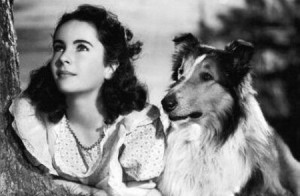 Elizabeth Taylor e Lassie