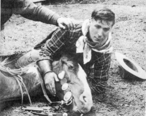 animais hart and fritz IIIII