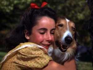 Elizabeth Taylor e Lassie em A Força do Coração