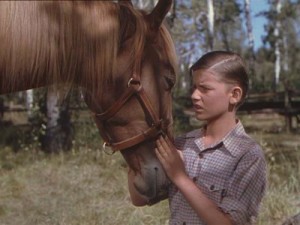 Roddy MacDowall e Flicka