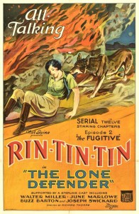animais rin tin poster II