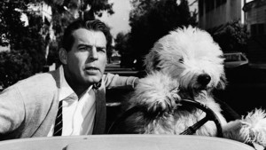 Fred Mac Murray e Felpudo