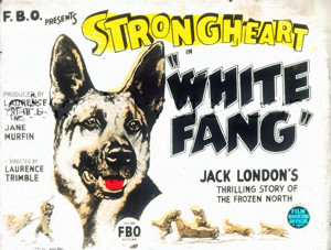 animais strongheart poster