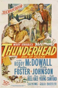 animais thunderhead poster