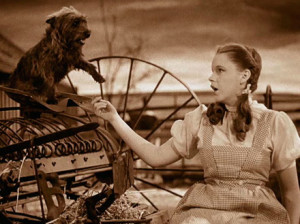 Terry / Toto com Judy Garland em O Mágico de Oz